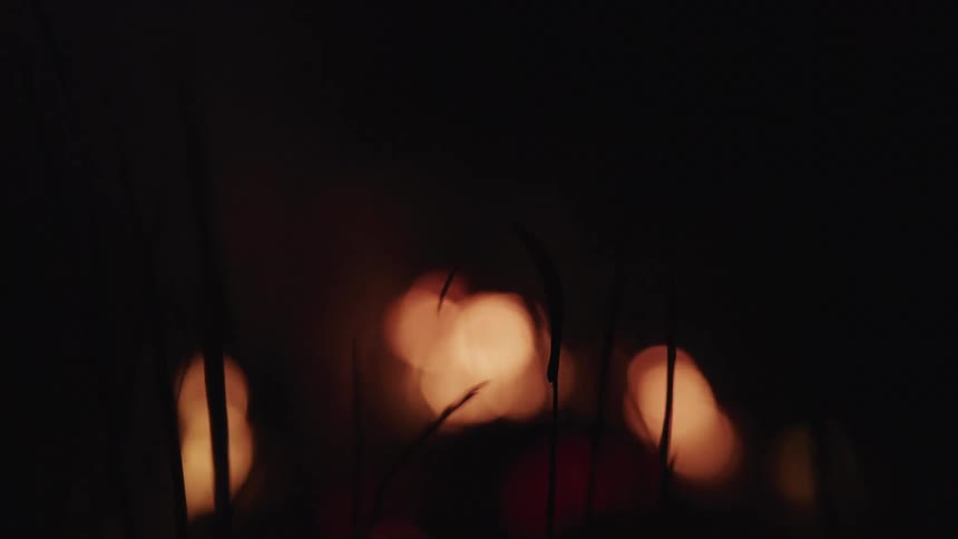 Flames from a bonfire are visible from between small twigs