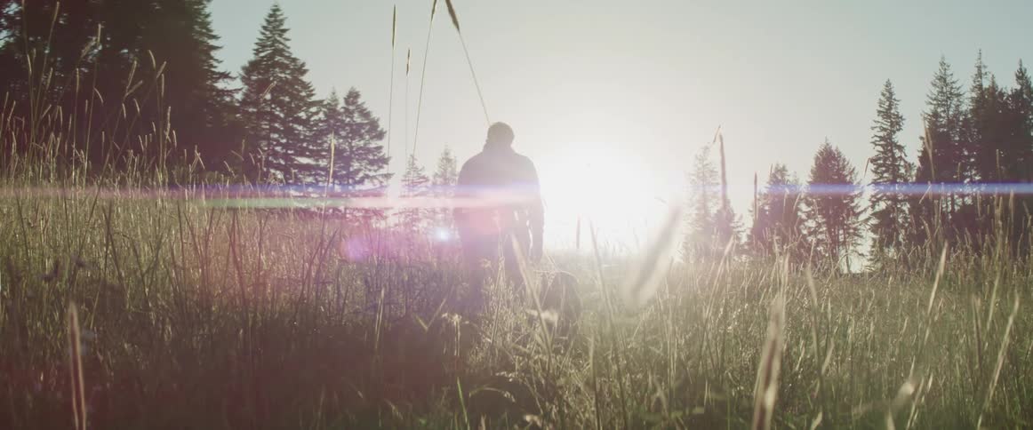 A man walks through a field of tall grass while blinding sunlight shines upon him