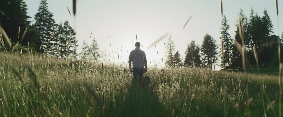 Middle aged man with a grey sweater walks his dog in tall grass as the sun shines brightly