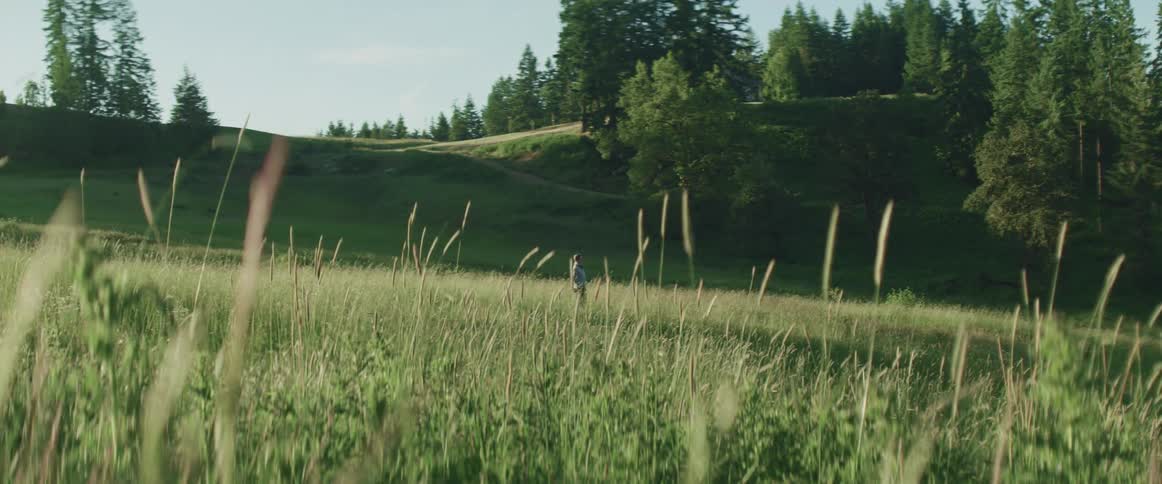 Person stands in middle of field near hill covered with woods