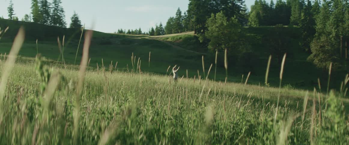 Tall weeds grow high above the grass in a field