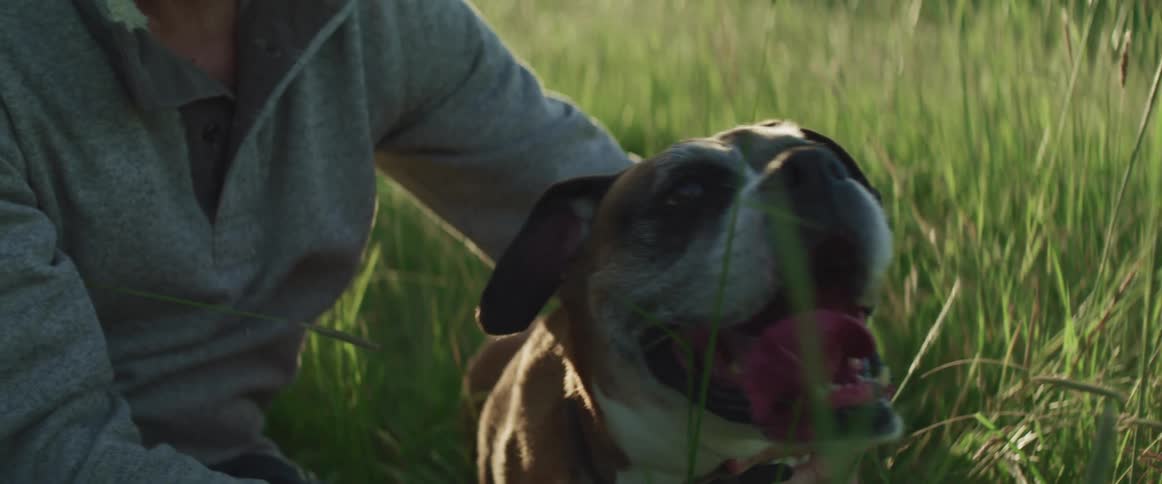 Middle aged man wearing a grey sweater sitting in tall grass pets a brown dog
