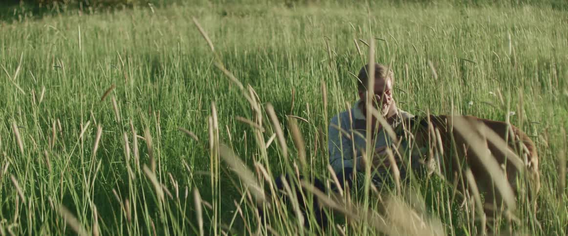 Dog runs up to a man sitting in a field then the man pets it