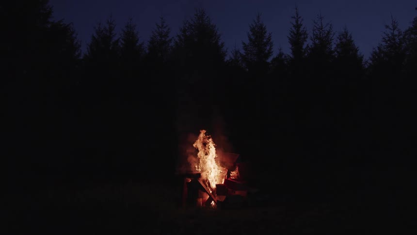 Stacked wooden blocks burn near conifer trees at night