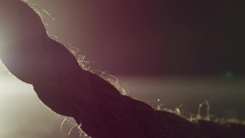 Headlights illuminate a large braided rope dragged on an open field