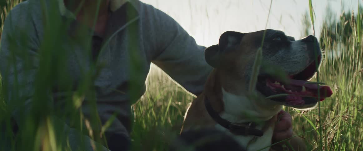 Middle aged man with a grey sweater strokes a dog in tall grass