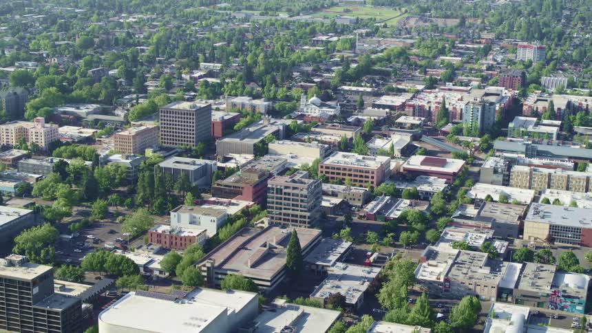 Trees and buildings sit in the city as vehicles travel on the streets