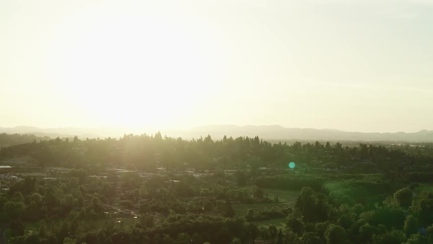 Aerial view of a small town near the forest at morning