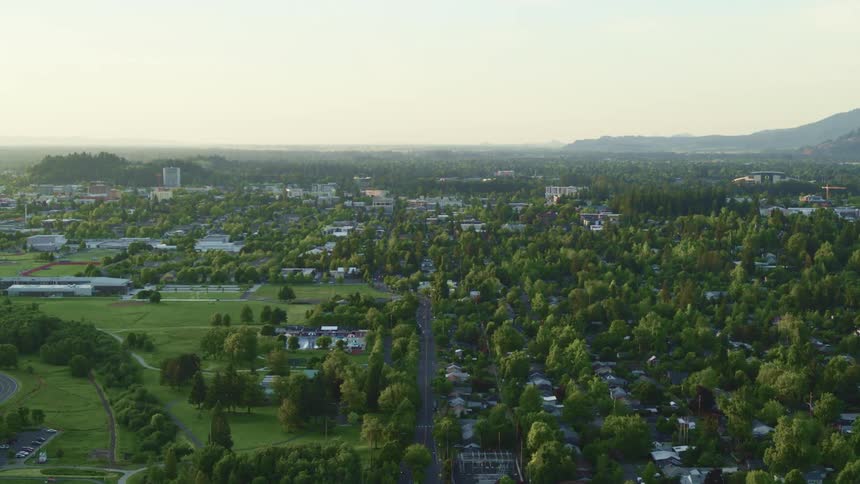 A road running through a small town covered in greenery