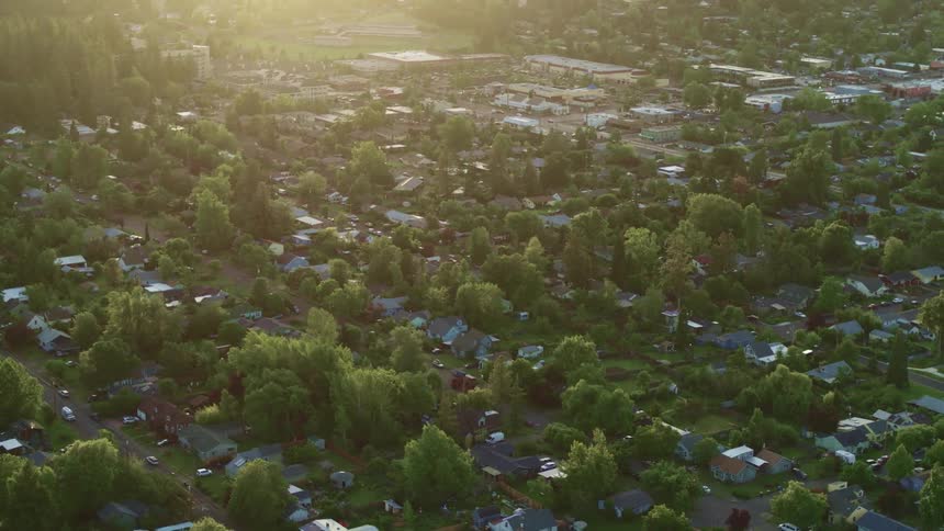 An town filled with trees that are taller than the buildings