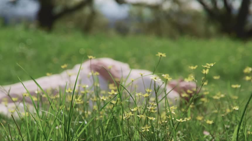 Pregnant woman with a white dress lies down on the green grass and holds her belly on a sunny day