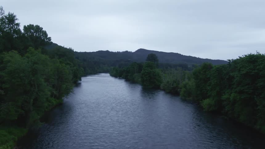A large river flows briskly through a lush green forest at the base of some mountains