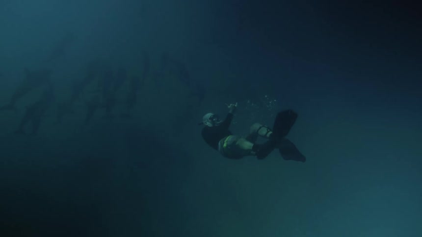 Scuba diver swims through murky water toward kelp turning to gesture behind him