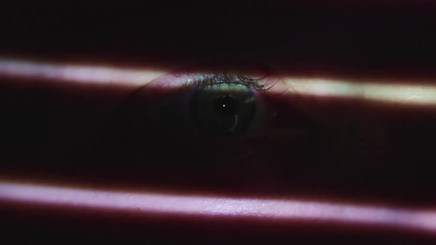 Human eye sits behind the moving shadows