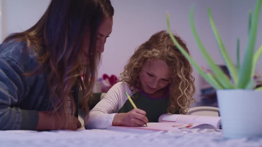 A woman is helping a girl do homework