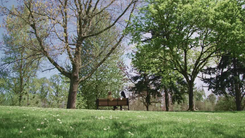 Two women sit talking on a park bench near the trees