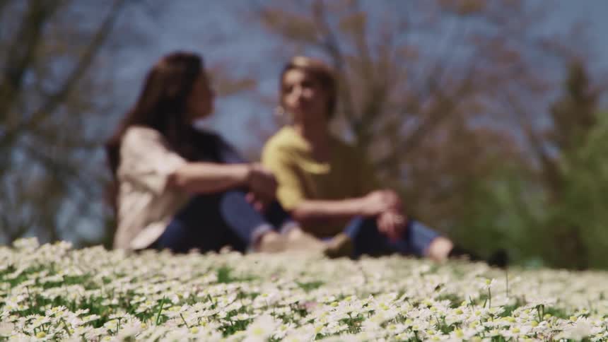 A pair of women sit side by side among the flowers in a meadow on a sunny day