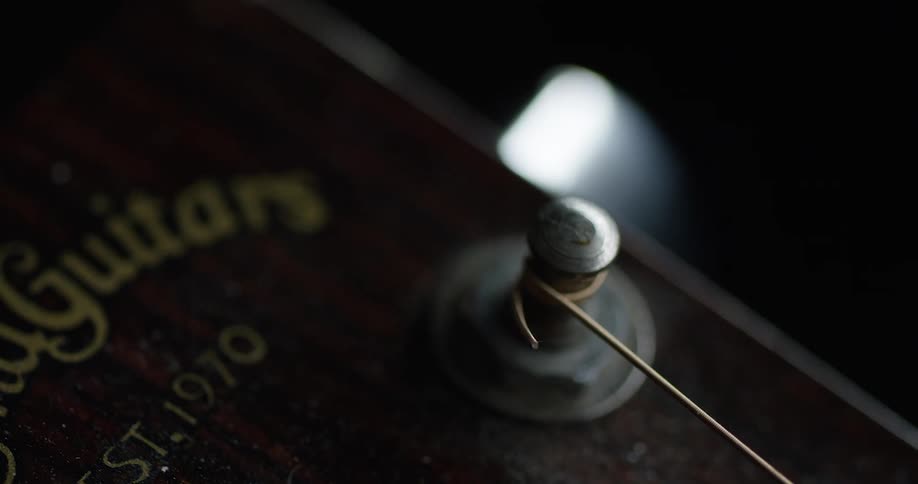 Strings on a guitar