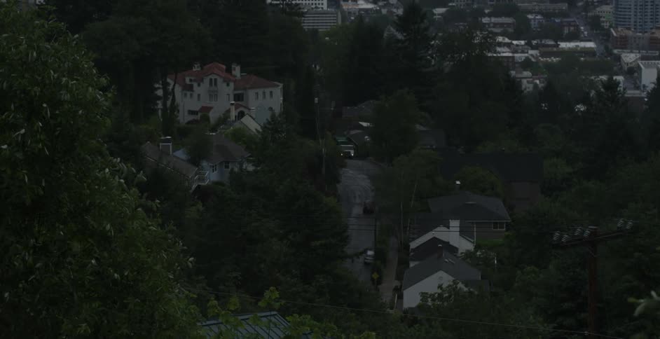 Neighborhood homes amongst trees as seen from a high hill