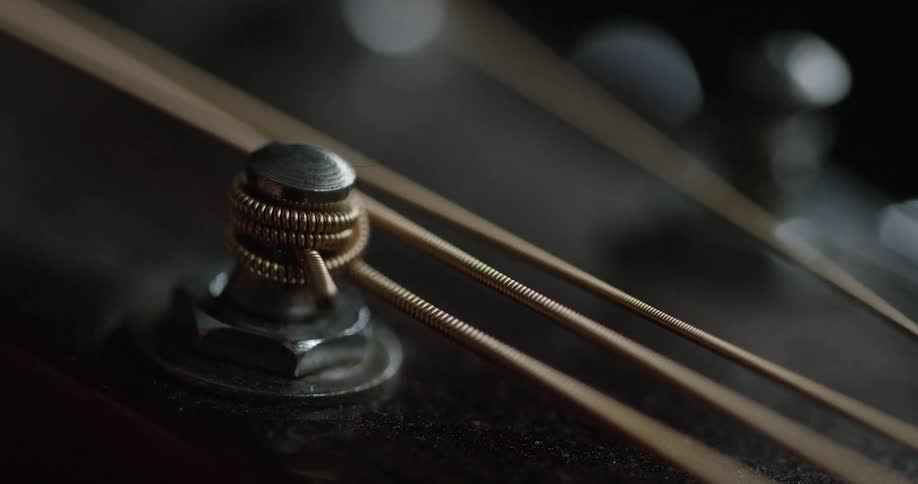 The strings of a musical instrument are wound around a twisting knob