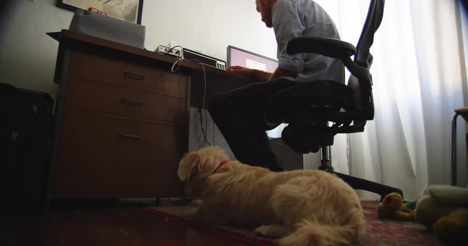 A man sits at his desk at home and works on his computer and his dog comes and lies down by his chair