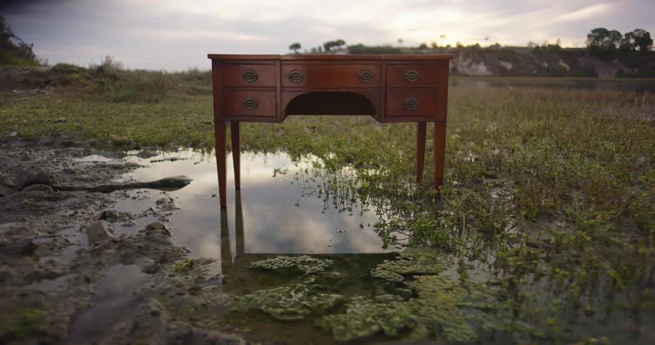 A desk sitting in a marsh
