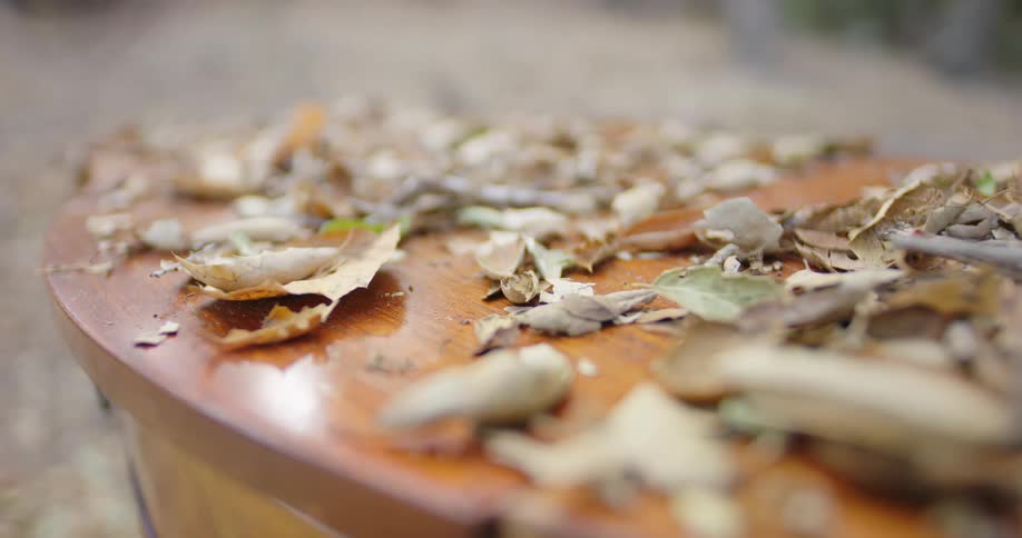 Autumn leaves cover a piece of wood furniture