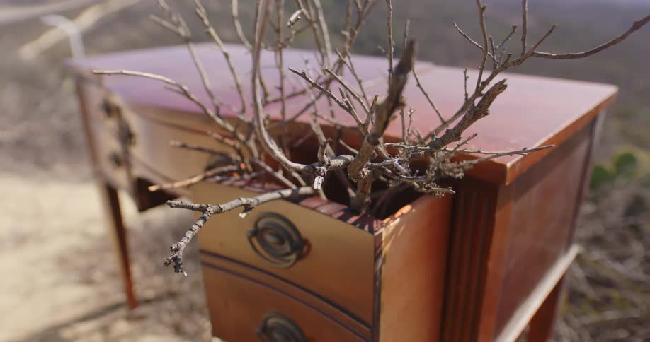 A wooden dresser left outside with branches stuffed in its drawers