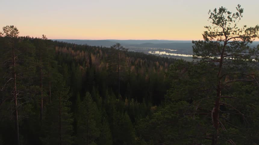 The sun sets over forest trees