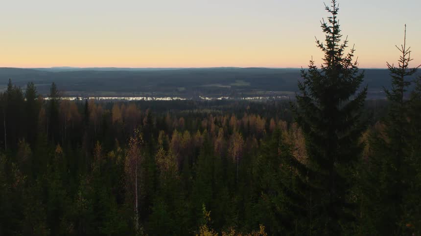 The sun sets over forest trees