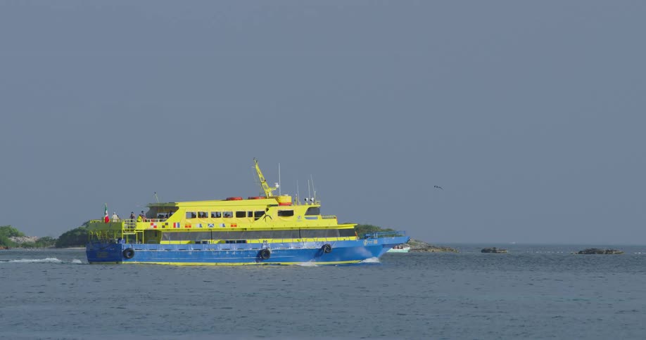 Blue and yellow ferry sailing near the coast on an overcast day