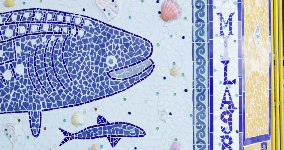 Mosaic tile picture of fish borders doorway