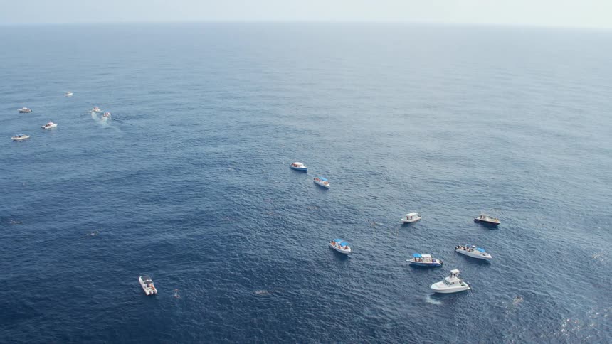 Many boats are stopped in the water below