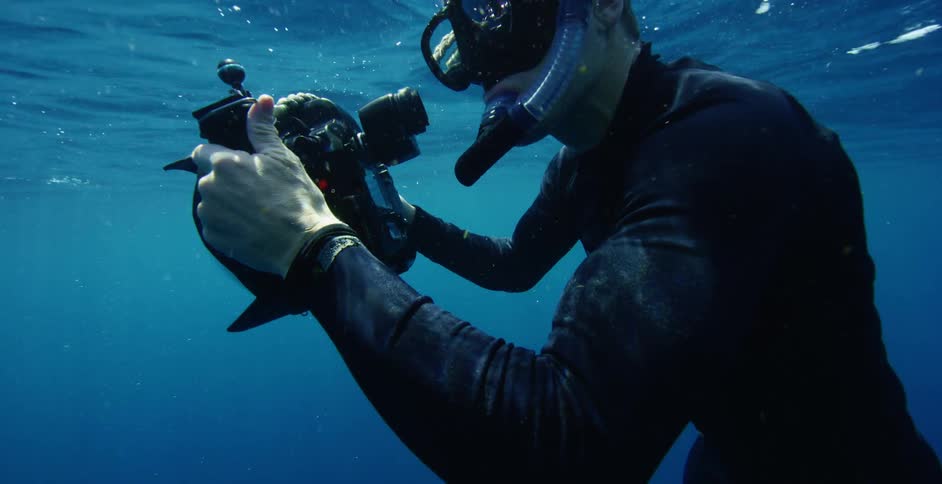 A diver is taking photos underwater