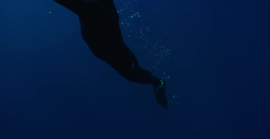 A person with a snorkel flippers a wetsuits and a camera swimming underwater