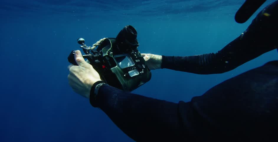 A diver is taking photos underwater