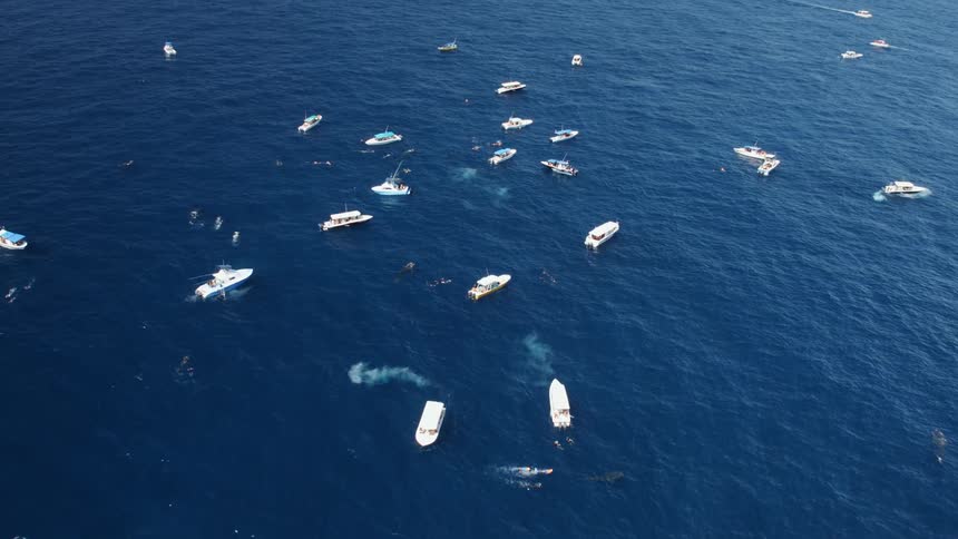 Aerial view of boats in the ocean