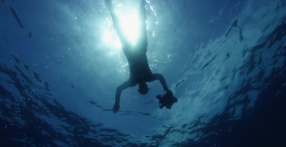 A diver swims in an ocean