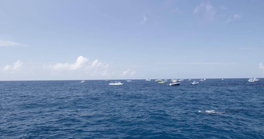 The boats are all anchored together in the water
