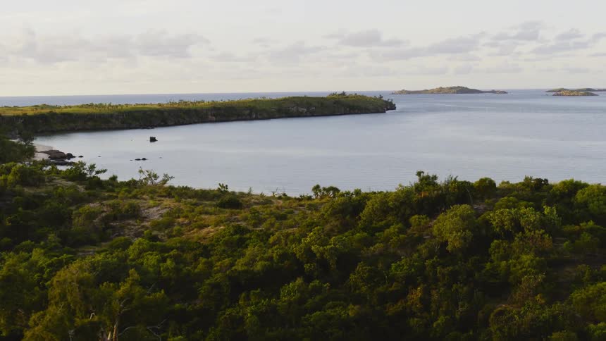Aerial view of a natural bay on the coast of a tropical forest
