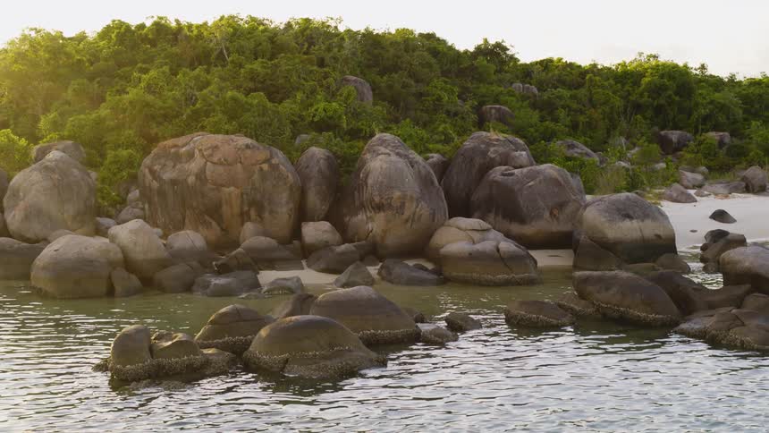 Rocks sit in a stream near the bushes on a hill