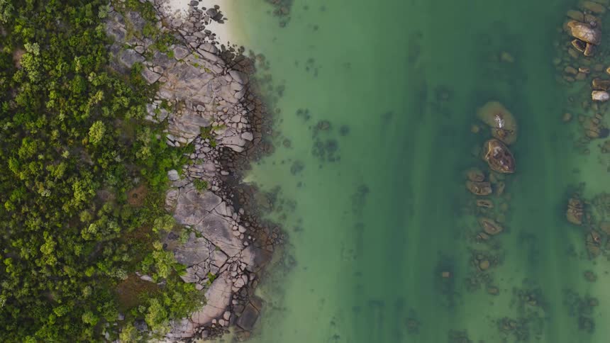 An aerial view of a river next to a wooded area is displayed