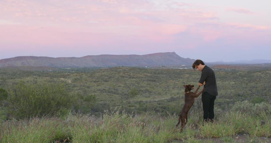 A man and his dog stands on the grassy hills near the mountains at sunset