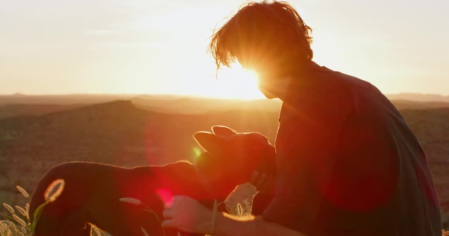 A man is outdoors and petting his dog