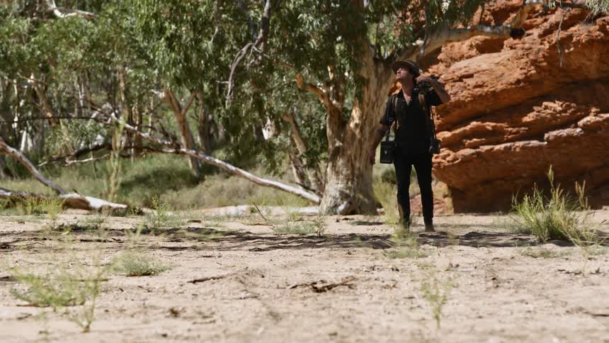 A photographer carries his photography equipment through the savanna as he looks around