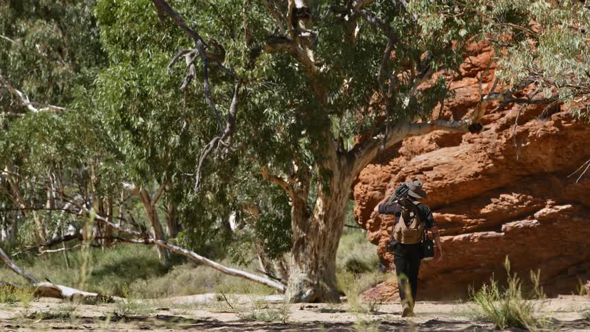 A person is hiking outdoors in a wilderness area