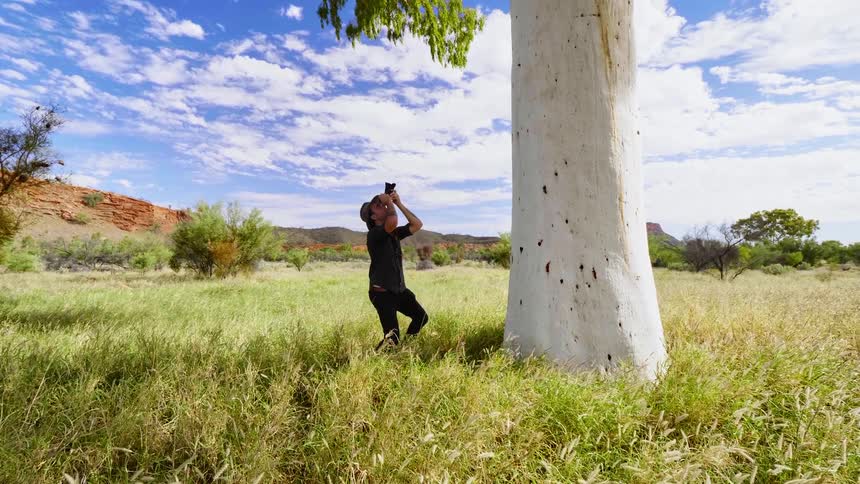 A man is taking photos of a tree with a camera