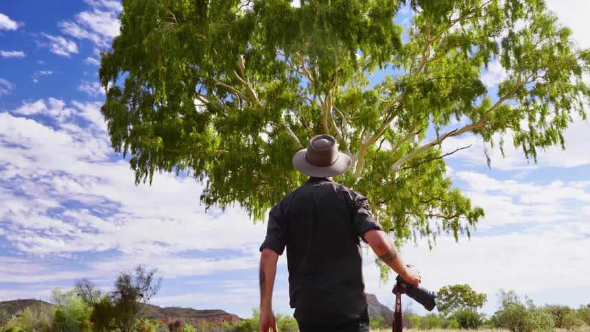 A man walking through a field stops to take a photo of a large tree