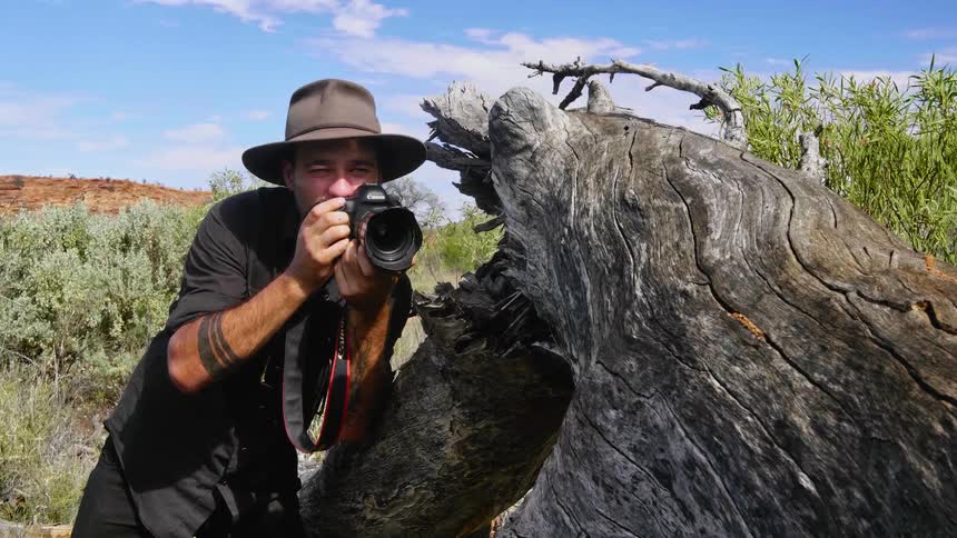 Photographer takes close up pictures of the trunk of a fallen tree