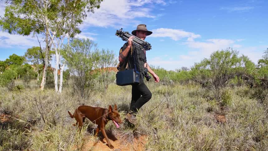 Man carries a tripod and camera in a field as a dog walks along next to him
